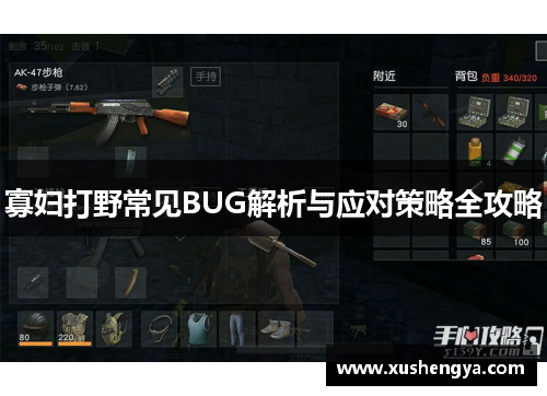 寡妇打野常见BUG解析与应对策略全攻略