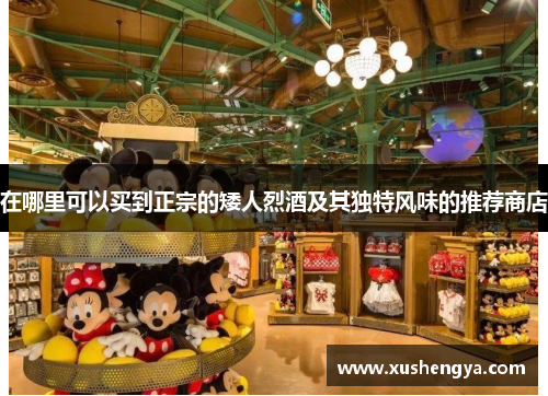 在哪里可以买到正宗的矮人烈酒及其独特风味的推荐商店